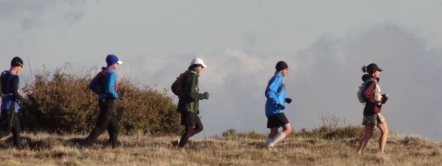 PCT 50